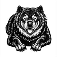 chow chow puppy laying vector