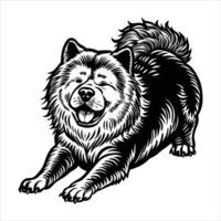 Chow Chow Lies On Its Back vector
