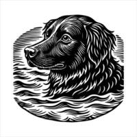 FlatCoated Retriever Swimming vector