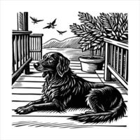 Flat Coated Retriever vector