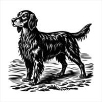 Gordon Setter Puppy vector
