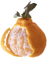large chinese tangerine with leaves, with slices inside, on transparent background png