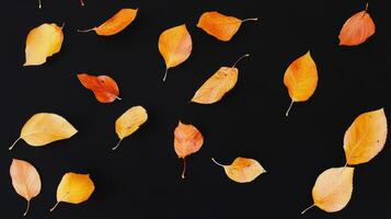 Autumnal Elegance Scattered Golden Leaves on a Matte Black Canvas photo