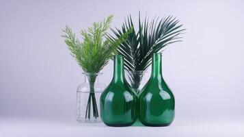 Green Bottles Clear Vases Minimalist Botanical Still Life on White Background photo
