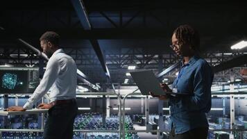 Portrait of joyful computer scientist in data center monitoring neural network LLM visualization. Upbeat woman in server farm overseeing rigs powering machine learning processes, camera A video