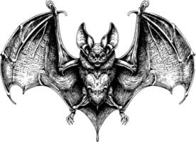 A highly detailed black and white illustration of a bat with its wings spread wide, depicting intricate textures on its body and wings, in a realistic, hand-drawn or engraved style. vector