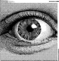 A detailed black and white illustration of a human eye, showing the iris with intricate patterns, the pupil, and textured eyelids, in a style reminiscent of a woodcut or engraving. vector