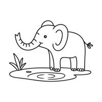 An elephant trunk stretched across a puddle vector