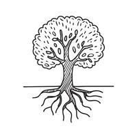 A tree with roots emerging from the soil vector