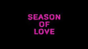 Romantic Valentine Typography Animation - Season of Love Text Loop with Transparent Background video