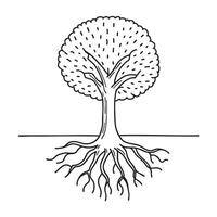 A tree with roots partly exposed vector