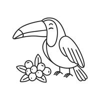 A toucan sitting near a cluster of fruits vector