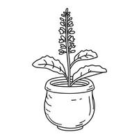 A tulsi plant potted in a tiny clay container vector