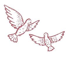 Couple of dove drawn in whimsial sketch style in pink color vector