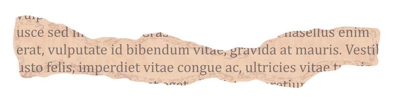 Torn paper of book or old newspaper in beige color on transparent background vector