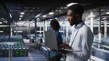 Server hub IT professional managing storage arrays supporting deep learning training workflows. Engineer on industrial platform performing maintenance on servers handling AI processing tasks, camera A video