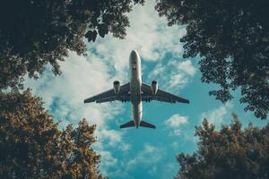 an airplane flying through the trees photo