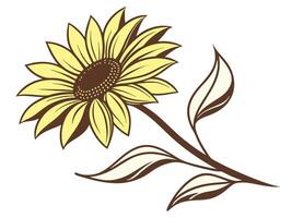 Elegant illustration of a vibrant sunflower with leaves in a minimalist style isolated on white vector