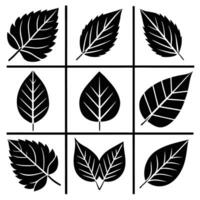 Monochrome illustration of nine different leaf silhouettes on a white background for design resources. vector
