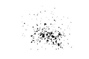 Black ink splatter explosion on white background isolated texture with scattered grunge droplets vector