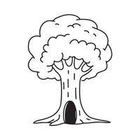 A tree with a hollow in its trunk vector