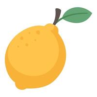 Flat illustration of lemon, isolated on white background, hand drawn vector