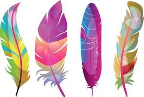Colorful and decorative feather illustrations with gradient effects for design and decoration projects vector