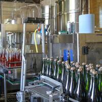 Bottling line for sparkling and rose wines at a modern winery. photo
