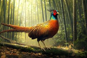 A golden pheasant bird gracefully wanders through a tranquil bamboo forest photo