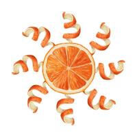 Orange slice with twisted peel. Hand drawn watercolor food illustration of sun with sunburst. Juicy citrus image with colorful realistic texture. Perfect for summer card template and menu design. vector