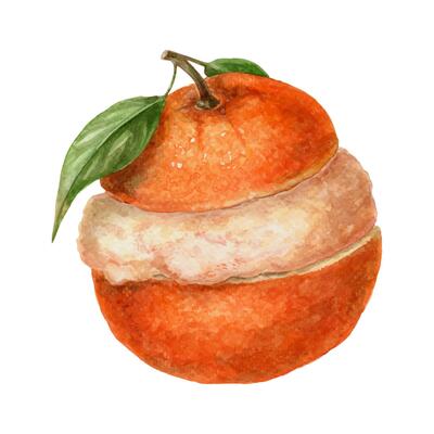 Orange sorbet in fruit peel with leaf. Hand drawn watercolor food illustration of Italian granita. Juicy citrus image with realistic texture. Perfect for summer card template and bright menu design.