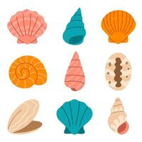 Assorted sea shells and mollusk shells in various shapes and colors for tropical and beach design vector