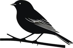 bird perched on a branch black color vector