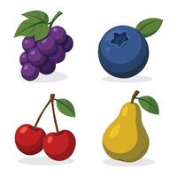 fruit set grape blueberry cherry pear vector
