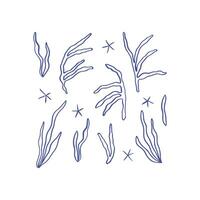 Hand drawn whimsical seaweed collection vector