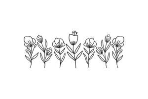 Wildflower line art illustration. Flower garden elegance botanical collection. Hand drawn herbal and meadow plants illustration on white background. Twigs botany, branch for summer decor. vector