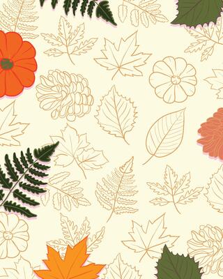 Flat illustration of autumn leaves, pumpkins, and pinecones with hand-drawn line art on a warm background. Perfect for seasonal fall design, thanksgiving decor, and cozy harvest themes.