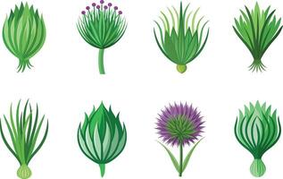 A set of different types of grasses and flowers vector