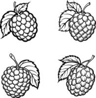 Raspberry silhouette icons vector