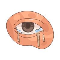 Illustration of tear drop vector