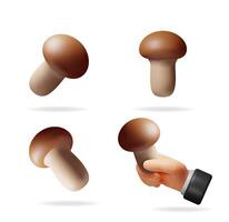 Different views of button mushroom. Set of edible fungi, including a hand holding one. Autumn harvest and foraging concept. Nature food. vector
