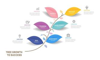Tree of Success business infographic growth strategy line 6 steps, timeline template. vector