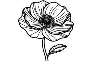 Poppy flower drawing isolated on white background in black and white style vector