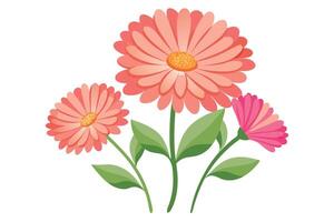 Three colorful flowers isolated on white background in format vector