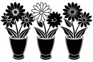 A three vases with flowers isolated on white background in black and white vector