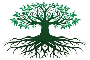 A tree with roots and leaves isolated on white background vector