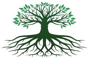Green tree with roots and leaves isolated on white background vector