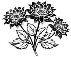 A black and white dahlia flowers isolated on white background illustration vector