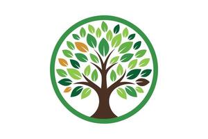 Green tree with leaves isolated on white background in a circular shape vector