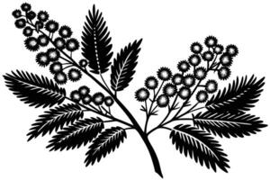 branch with leaves and flowers isolated on white background vector